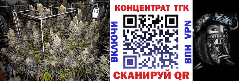 Дистиллят ТГК THC oil Купить закладки Аргун