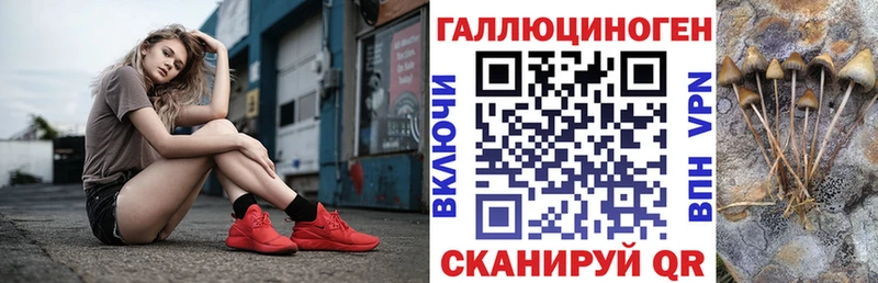 Галлюциногенные грибы Cubensis  Купить  Аргун 